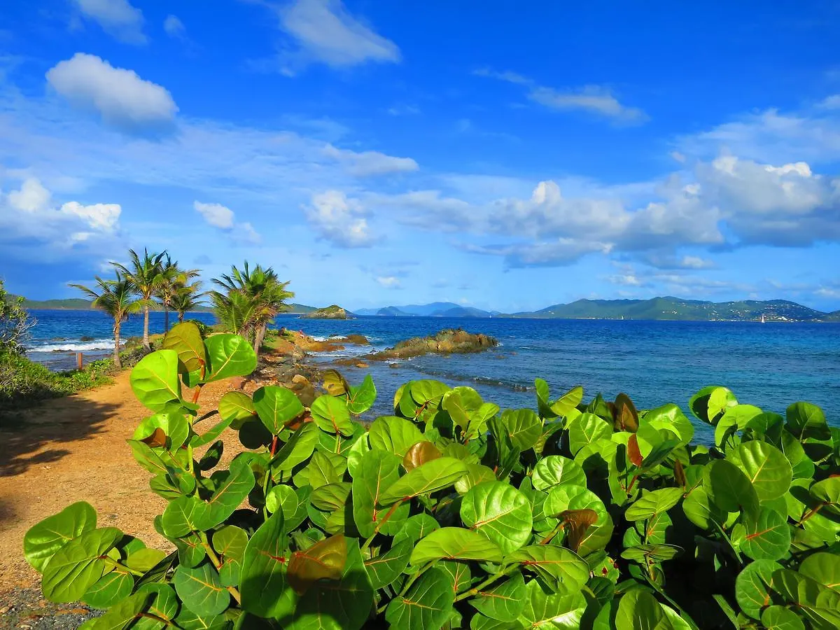 2Br Luxury Beachfront Duplex Villa On Sapphire Beach III East End  Resort East End (Saint Thomas)