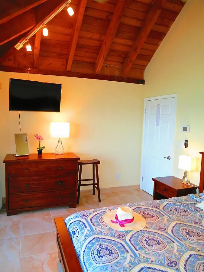 2Br Luxury Beachfront Duplex Villa On Sapphire Beach III East End  Virgin - szigetek (amerikai)